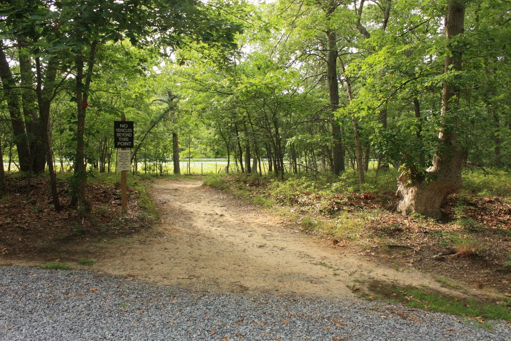 Brookhaven state park