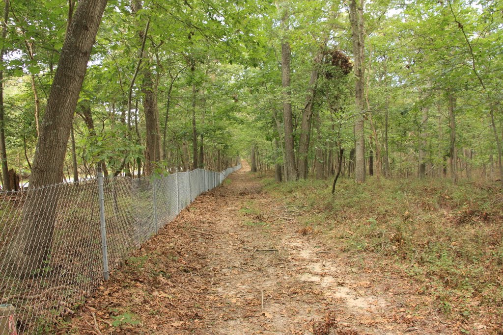 Brookhaven State Park - Red trail