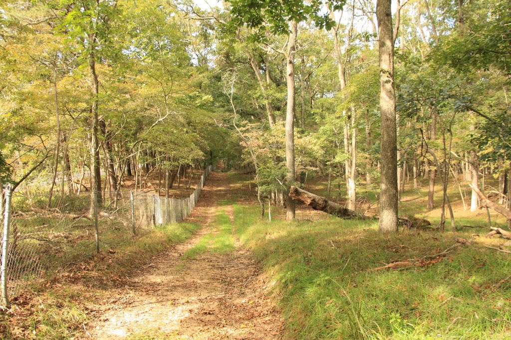 Brookhaven State Park - Red trail