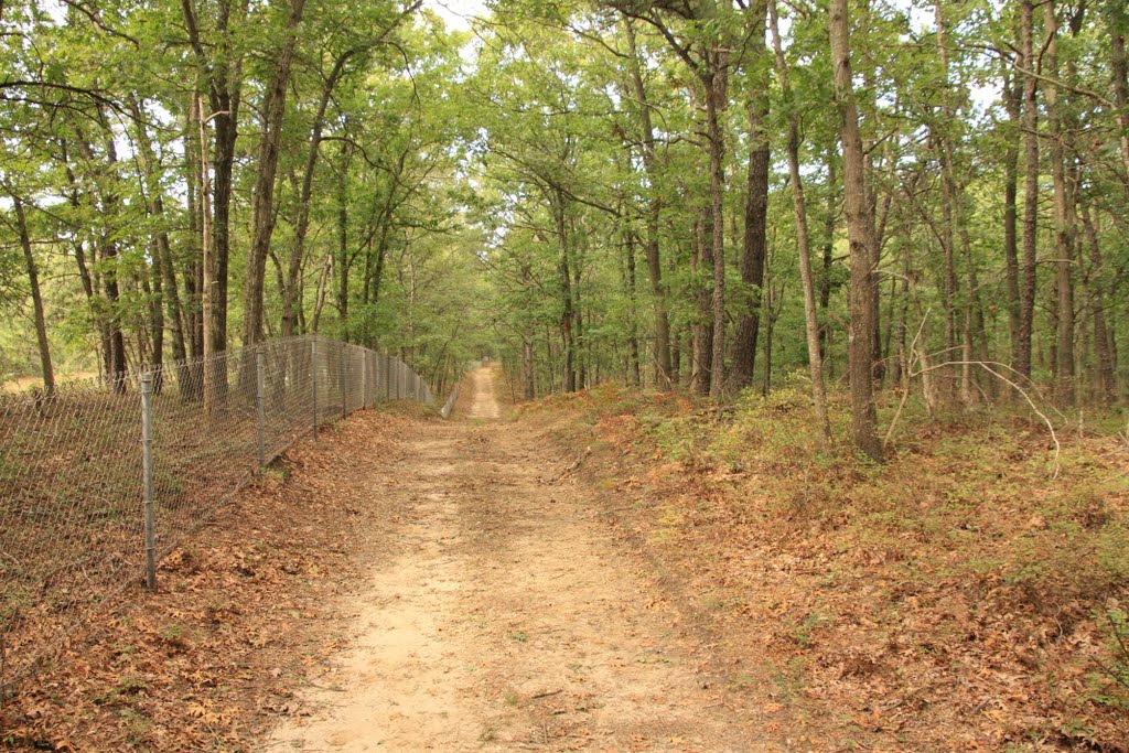 Brookhaven State Park - Red trail