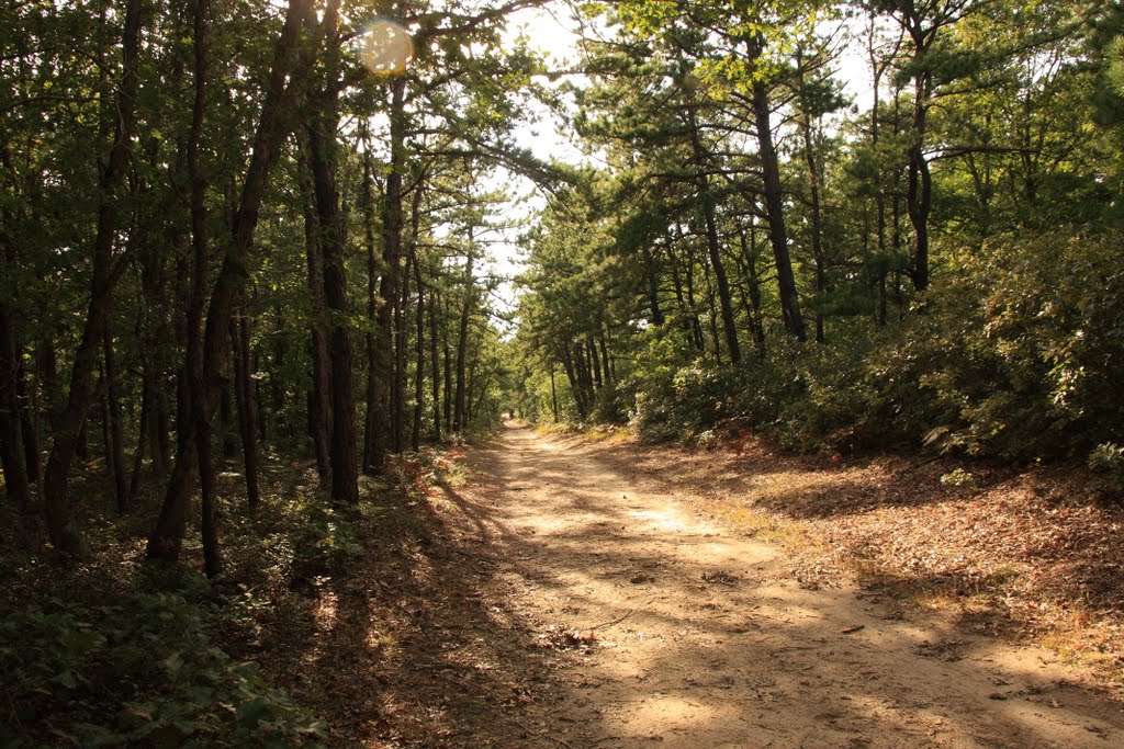 Brookhaven State Park - Green trail