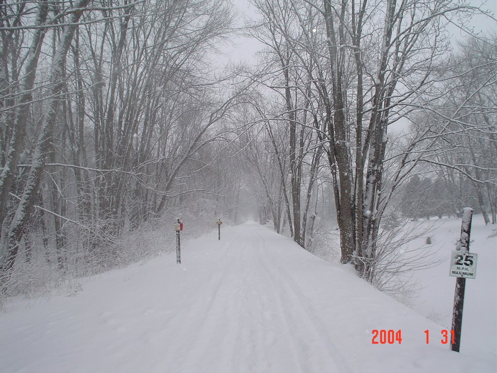 The OldErie Canal