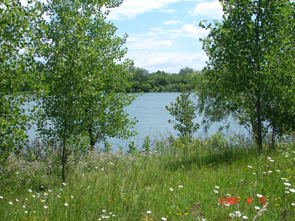 Erie Lake Erie Village