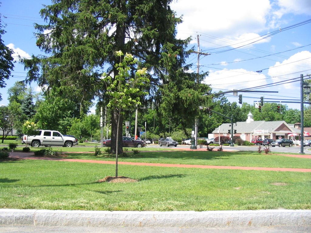 Fayetteville, NY Center Park