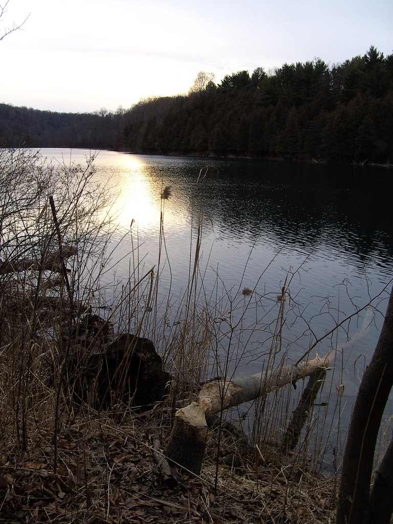 Green Lake, Sunset