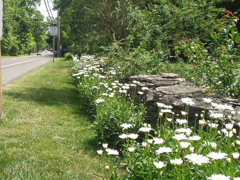 west side FM Road
