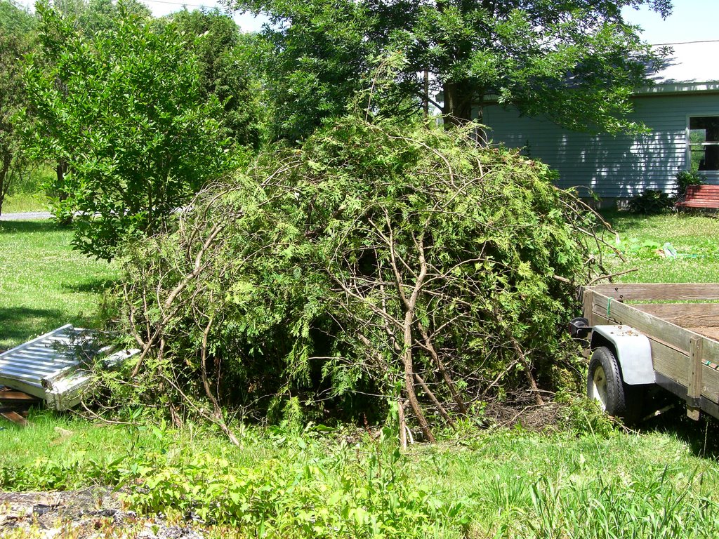 Fire Pile