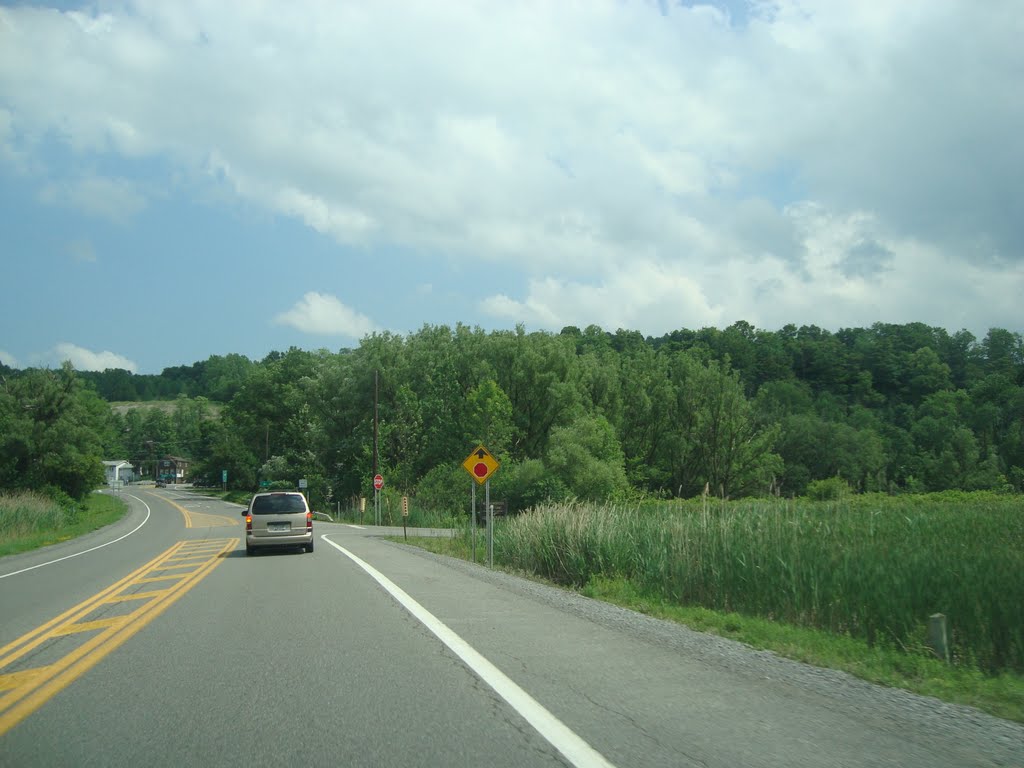 Syracuse, NY