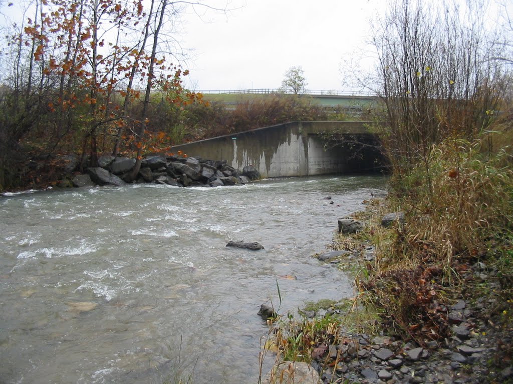 Butternut Creek
