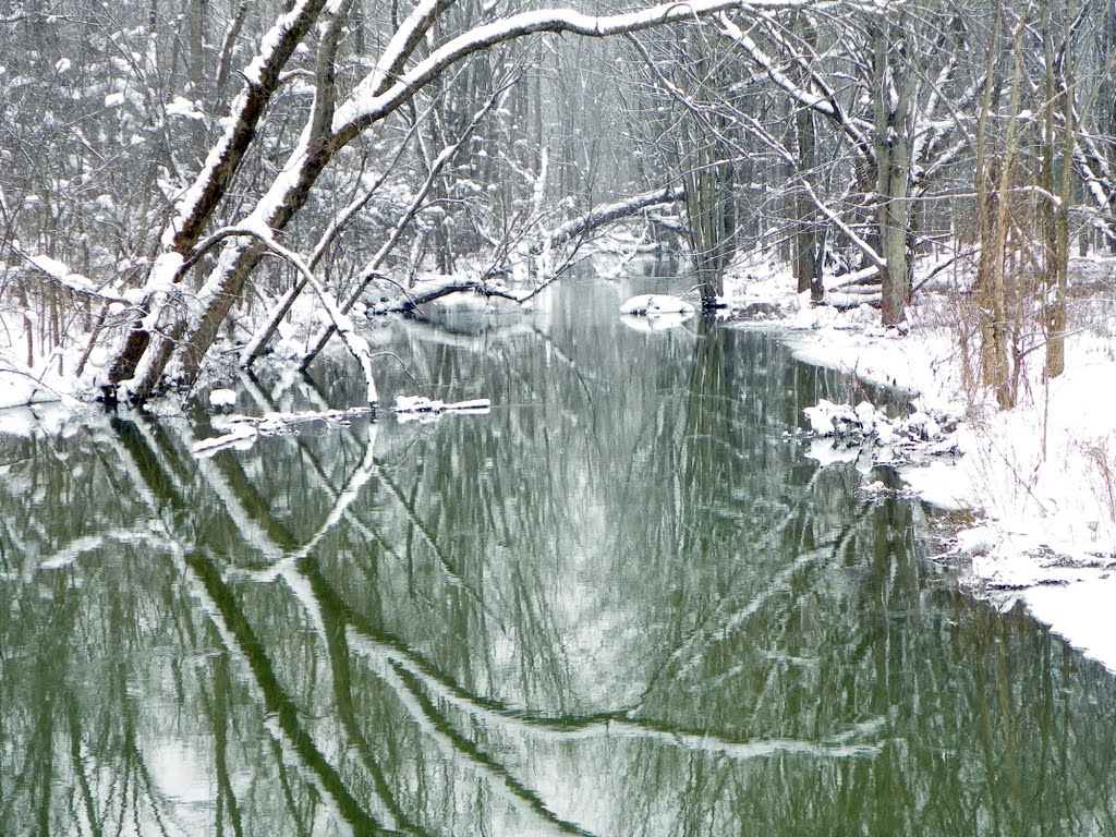 Snowy stream shot #1