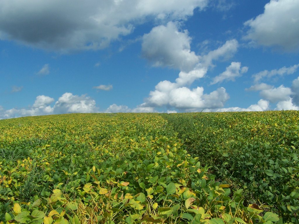 Sky View from White Cross Farm