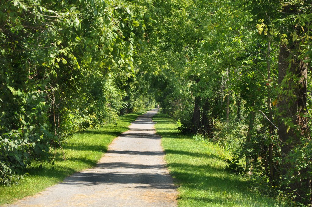 Erie Canal Towpath