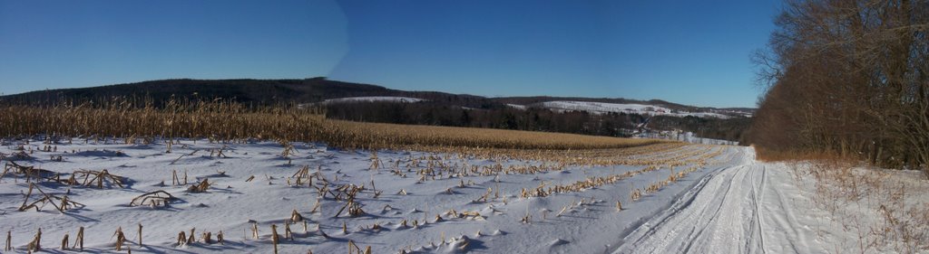 A Pause While XC Skiing on an Otsego County, NY, snowmobile trail