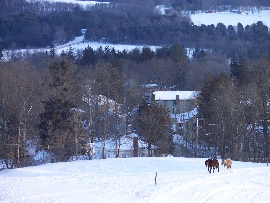 Village of Morris as seen from a hill north of the village.