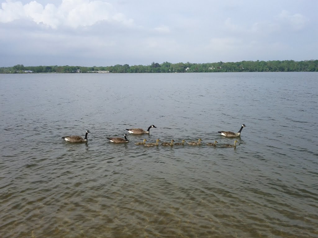 Lake Ronkonkoma