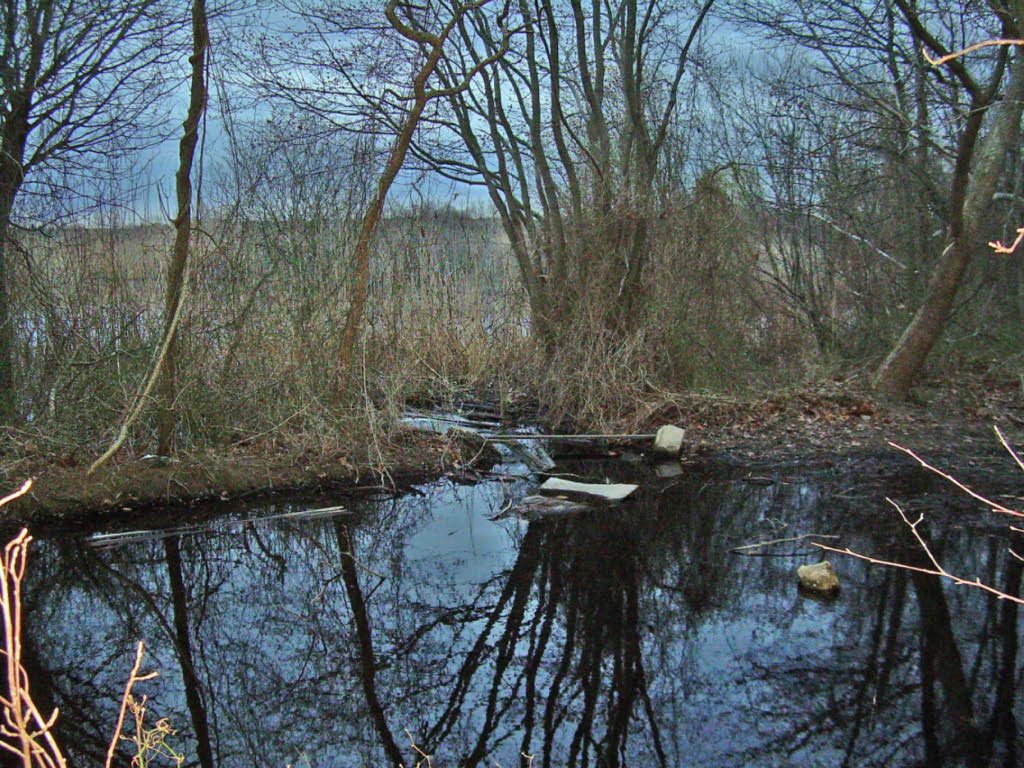 Ronkonkoma County Park
