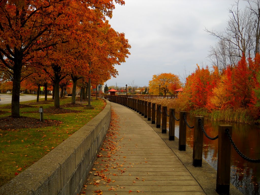 Beautiful Indian Summer Day in November on Canal Landing Blvd, Greece, NY
