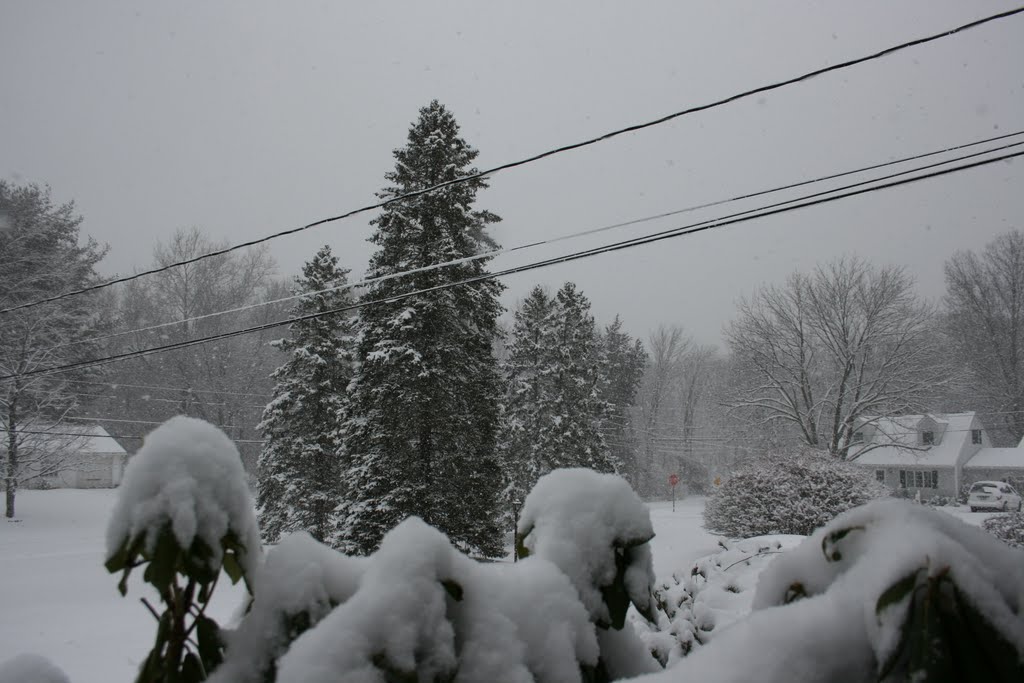 The Power Lines going Lower