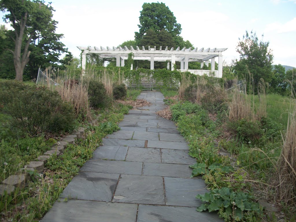 The Pergola