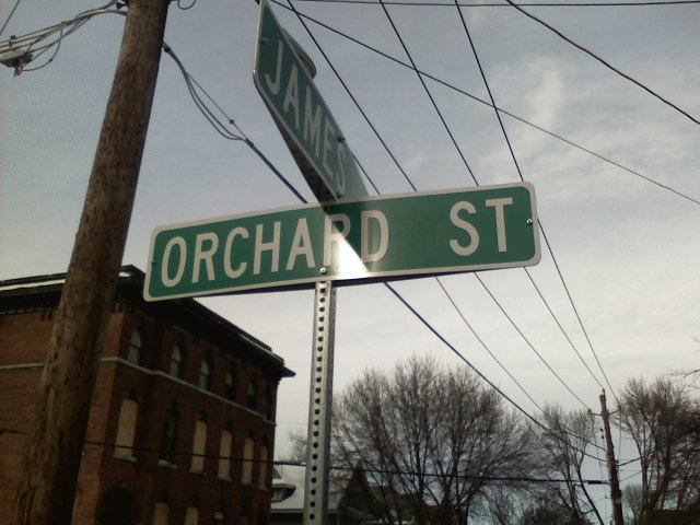 Orchard St Auburn, NY