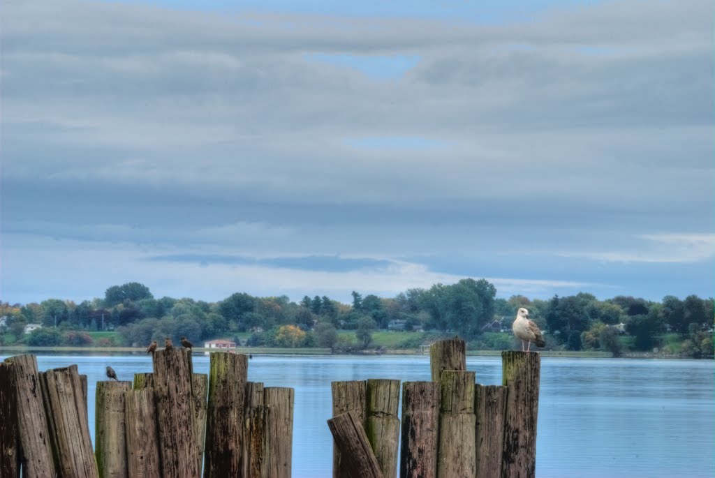 Train Dock Ruins