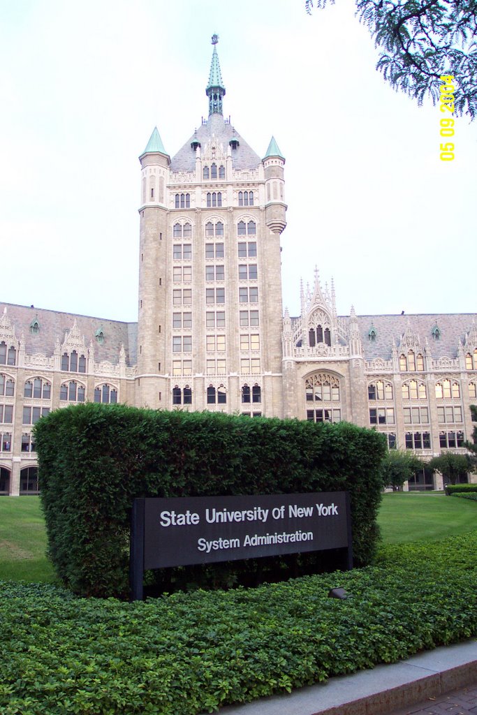 Albany, NY