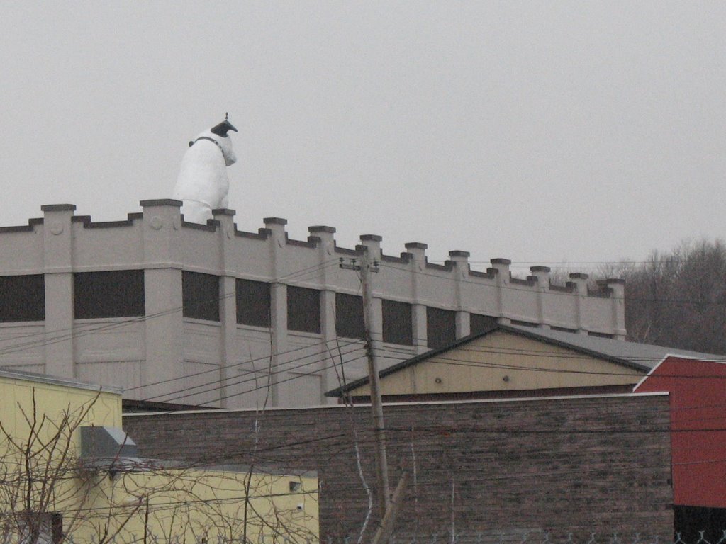 Nipper from behind