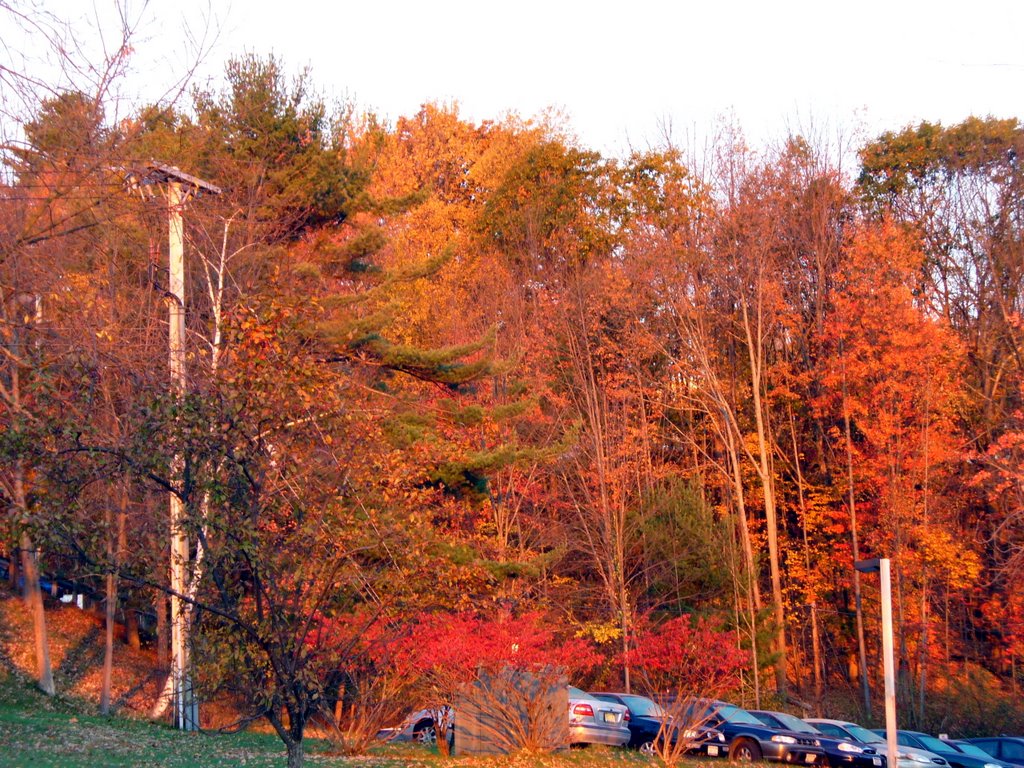 October Brilliance, Hartwick College, Oneonta, NY