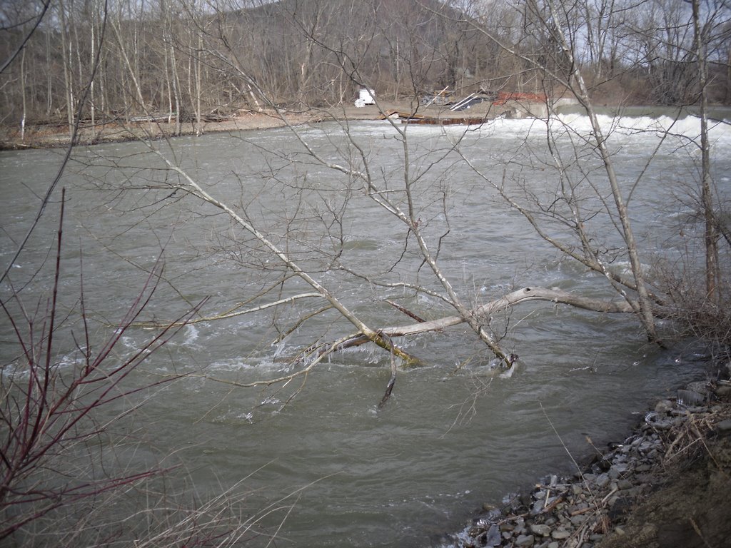 High Flow at Susquehanna River