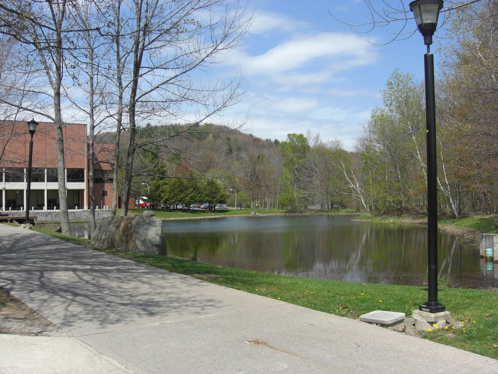 Hunt Union Pond