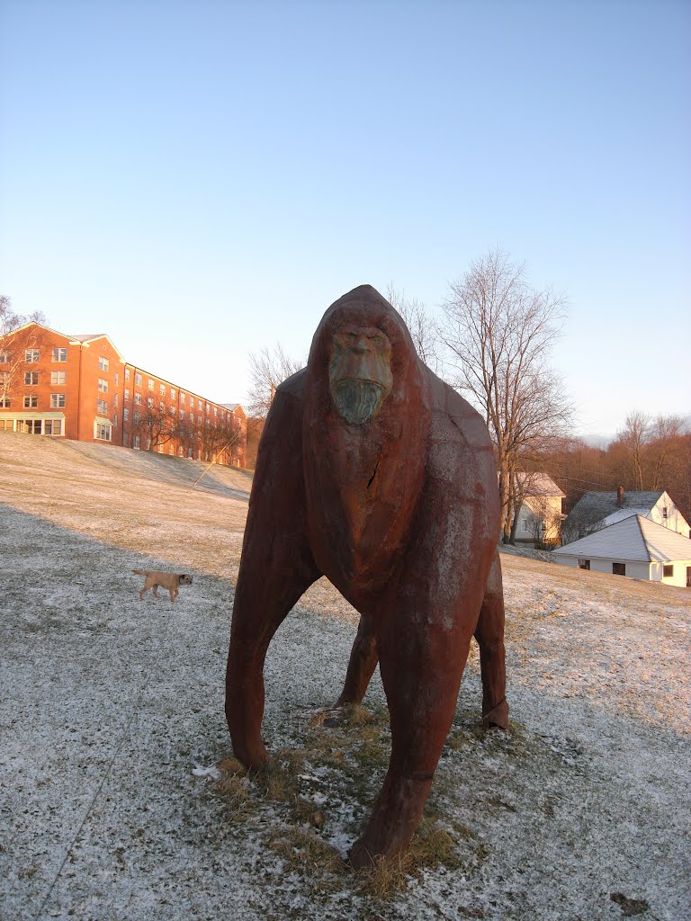 Hartwick College, Oneonta NY