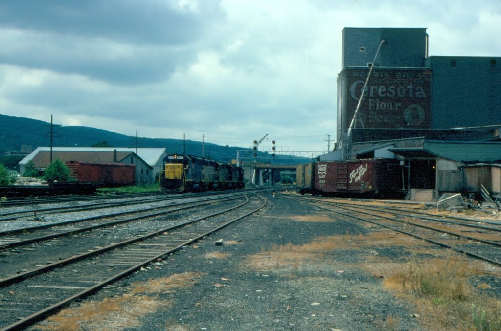 Four Delaware and Hudson Railway Diesels led by EMD GP39-2 No. 7417 at Oneonta, NY