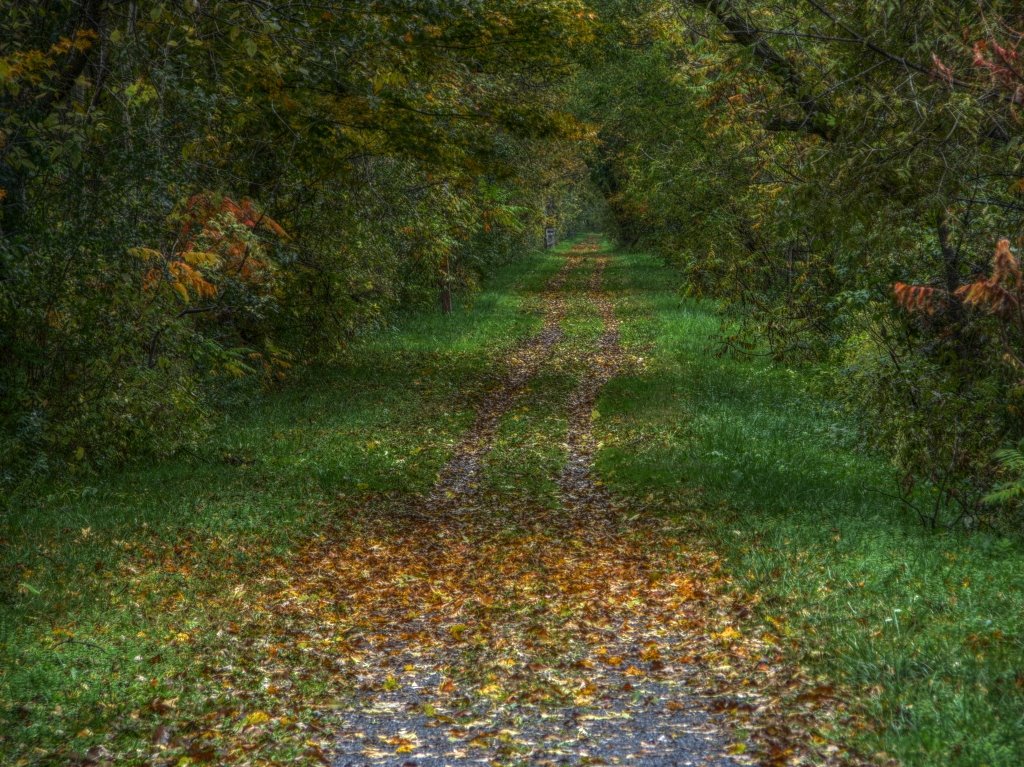 Erie Canal Trail - Oriskany, NY