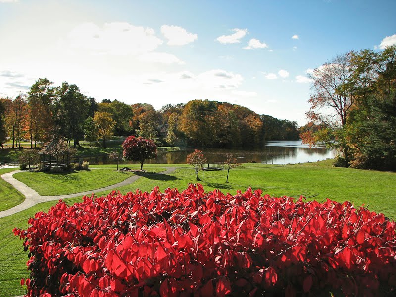 Green Lake in the fall