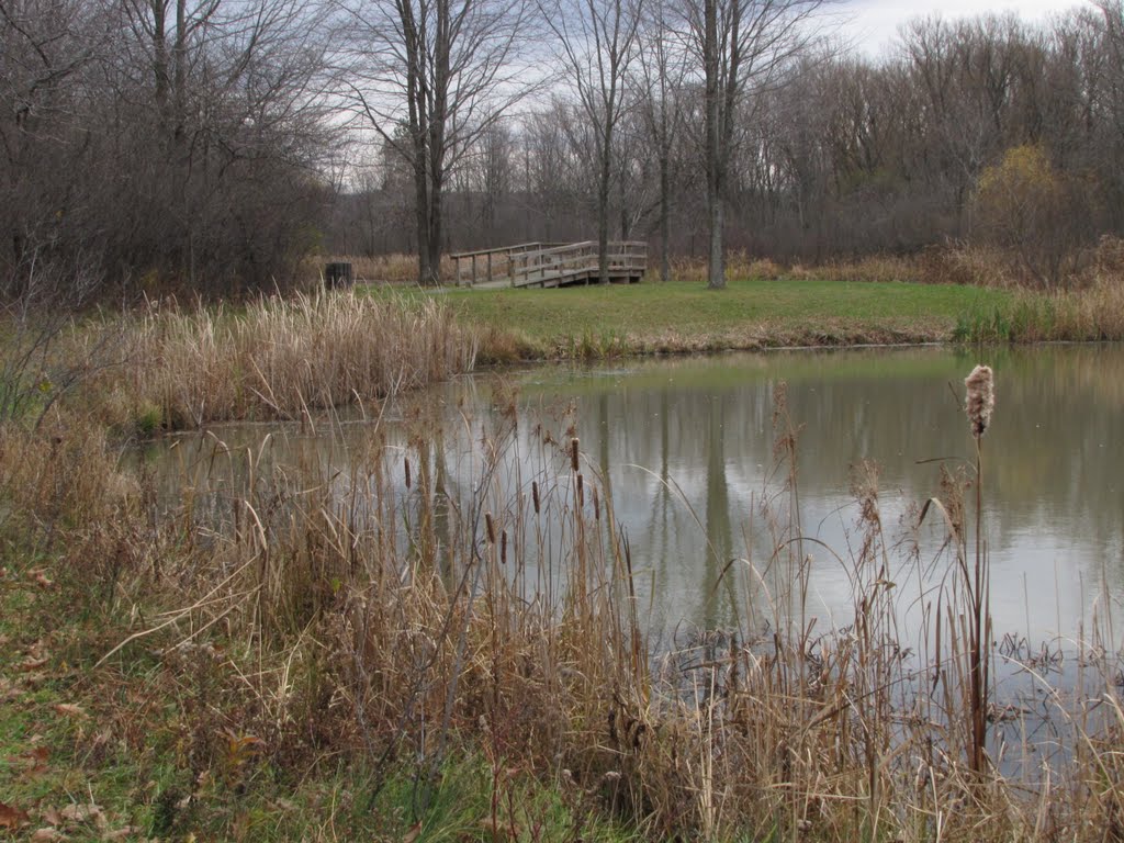 Birdsong Park