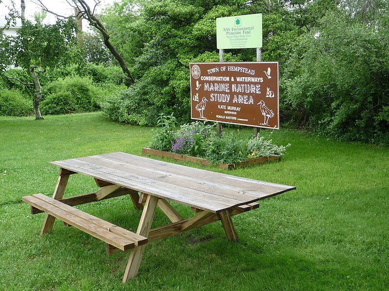 MNSA Picnic Area