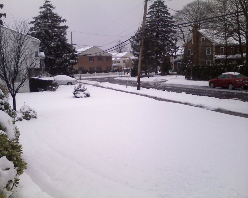 Dia nevado