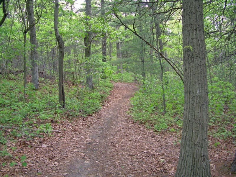 Nassau Suffolk Greenbelt Trail