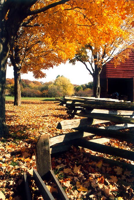 NYC, Old Bethpage Village