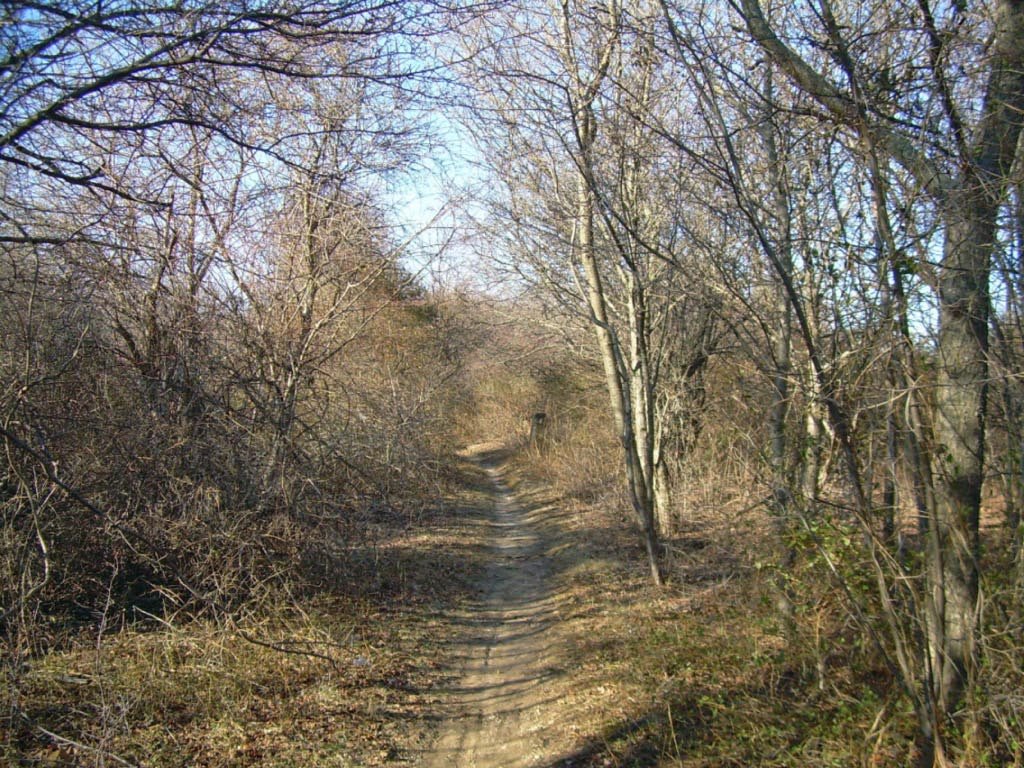 Trail View State Park