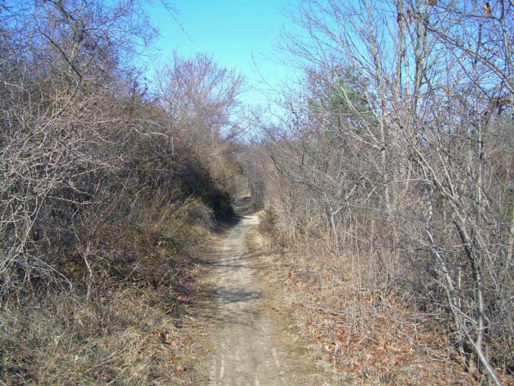 Trail View State Park