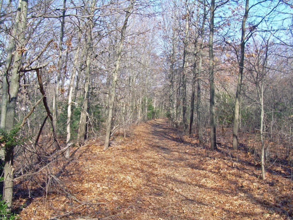 Bethpage State Park