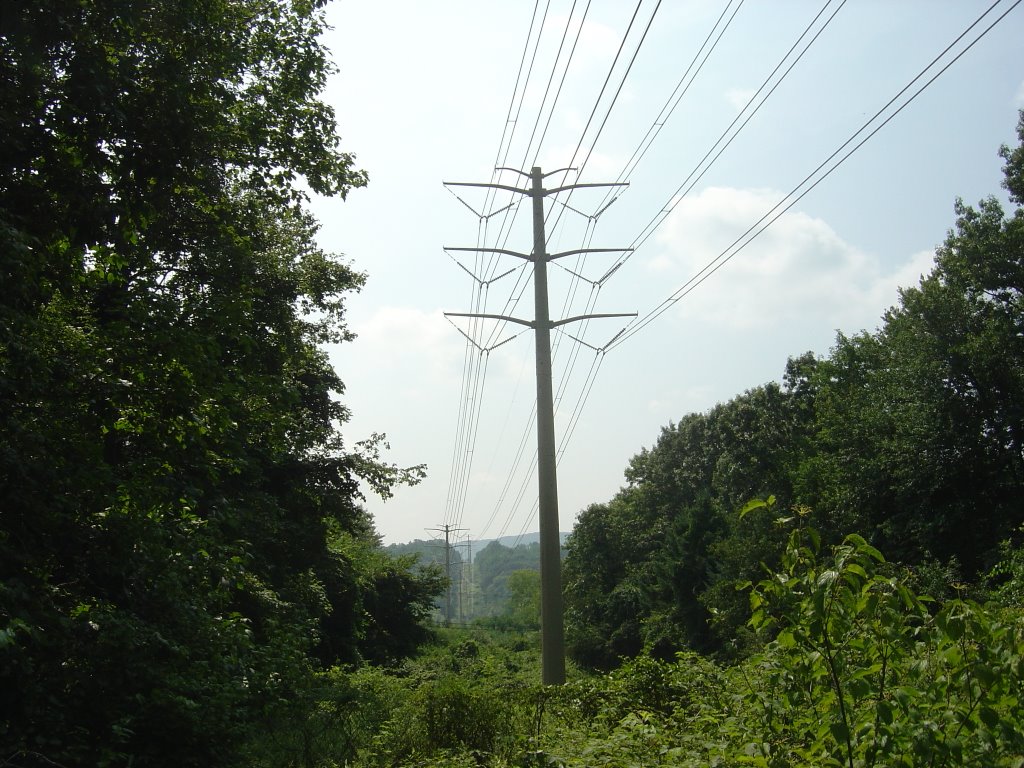 Power Lines over Long Path