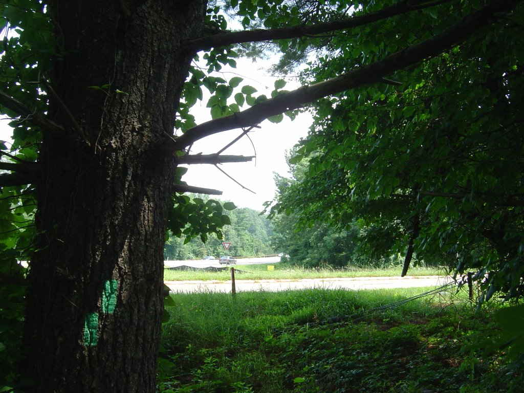 Long Path at Exit 13