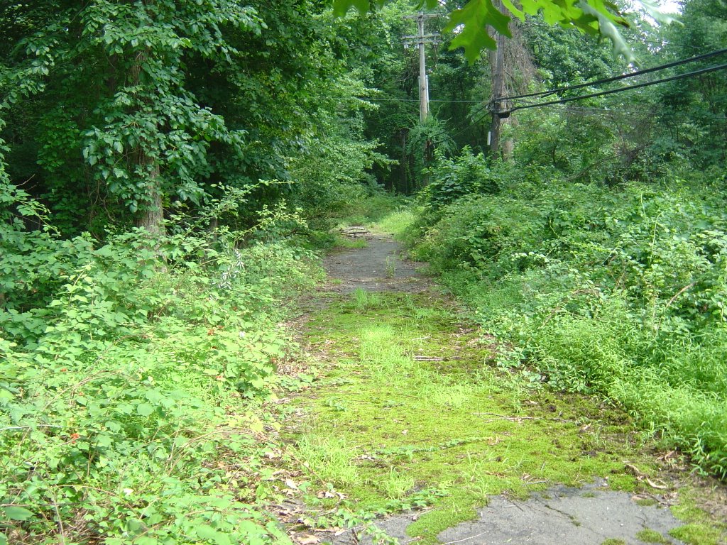 Old Quaker Rd (used before Pkwy built)
