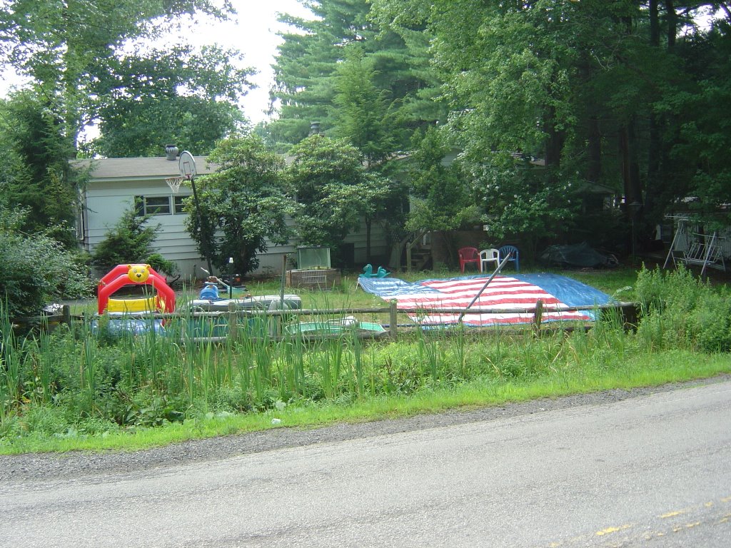 Patriotic Lawn