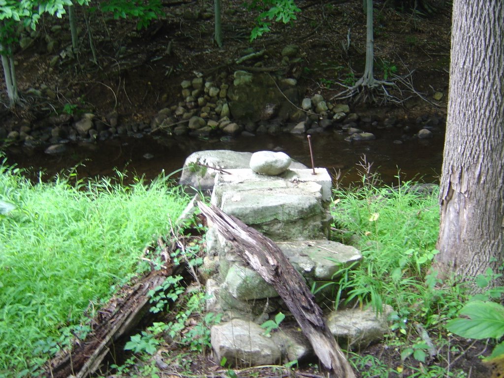Steps to Old Long Path creek crossing