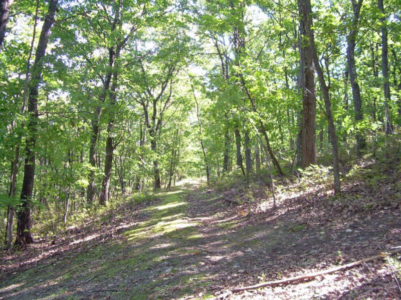 Elks Brox Park