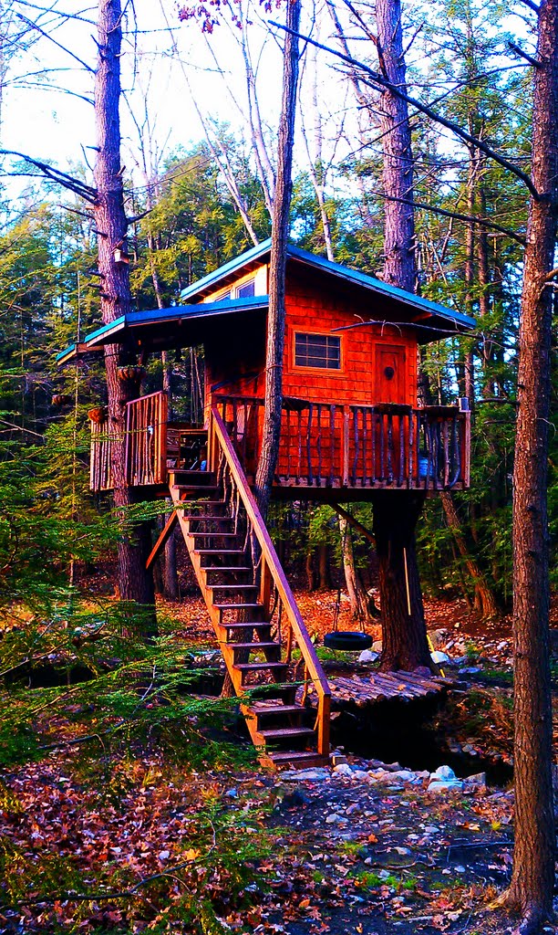Tree House