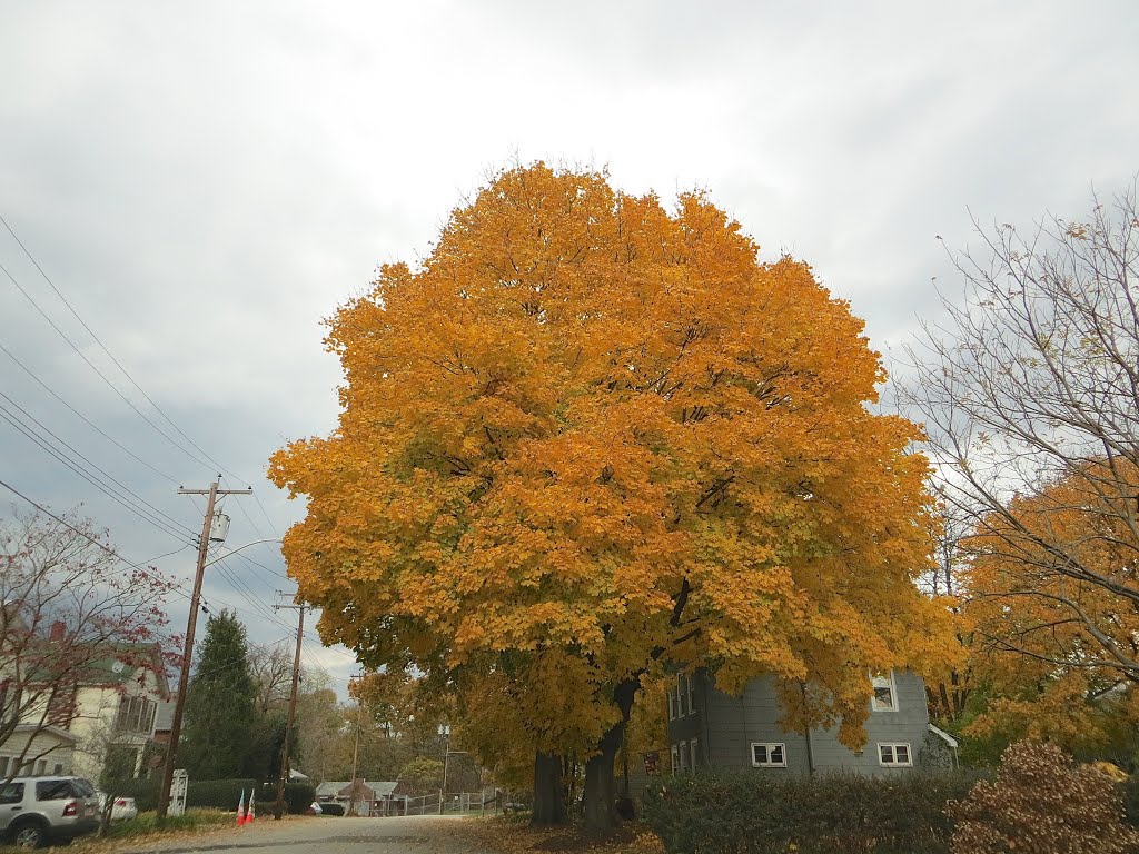 Fall in Port Jervis